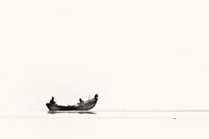 A Beginner's Guide to Minimalist Photography - Simplicity Hunter