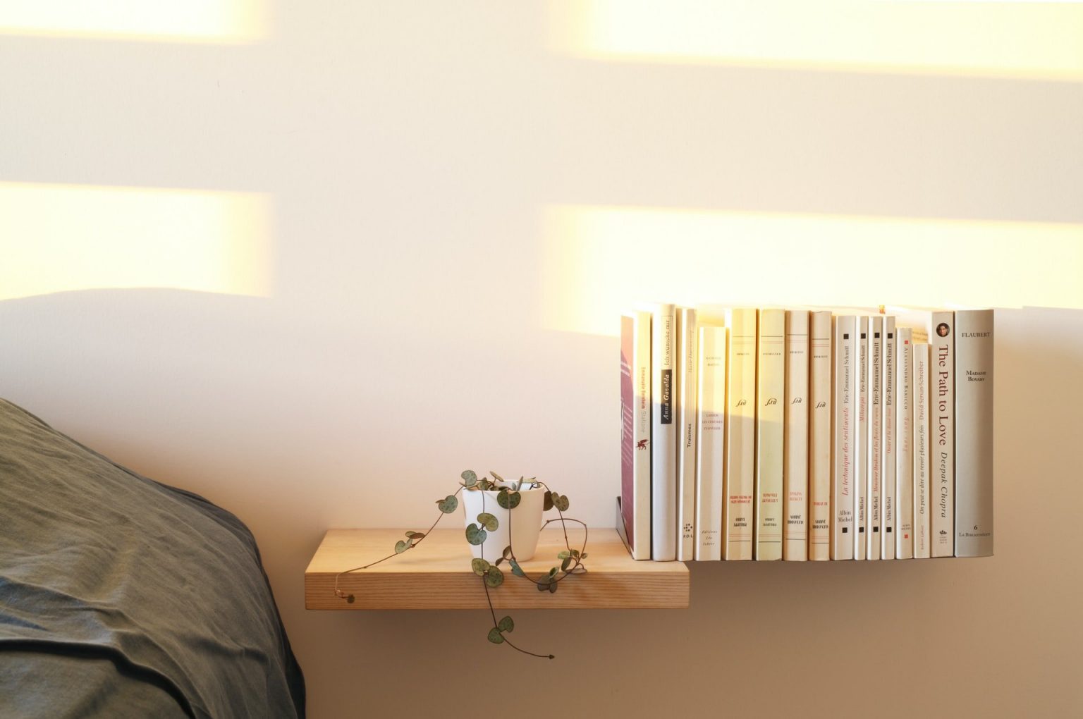 The Best Minimalist Bookshelf That Will Make Your Space Look Great